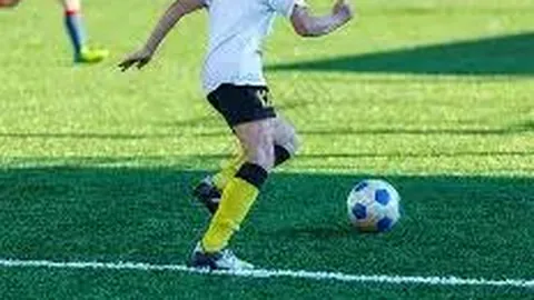 kaiyun·开云（中国）